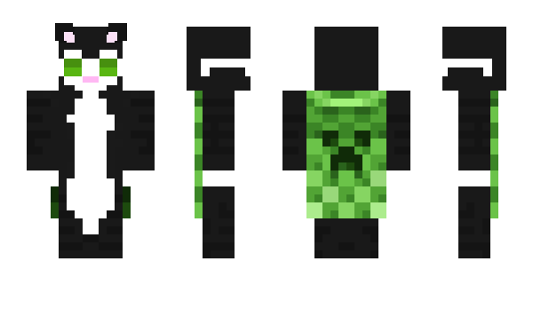 Minecraft skin p_pw