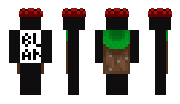 Minecraft skin ssayy_