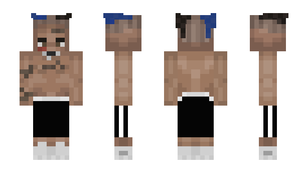 Minecraft skin Delarco_
