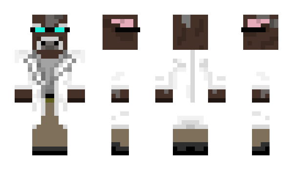 Minecraft skin Tygrard