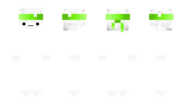 Minecraft skin BIGTIMECOOP