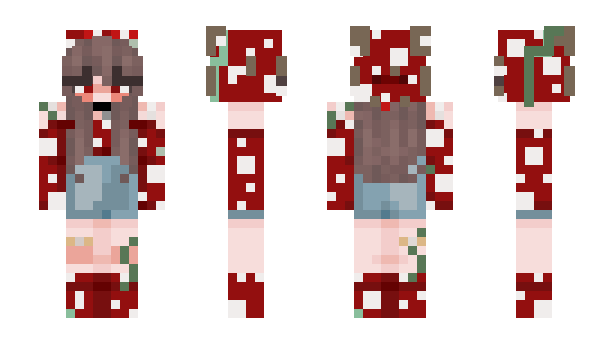 Minecraft skin _Vinshu_
