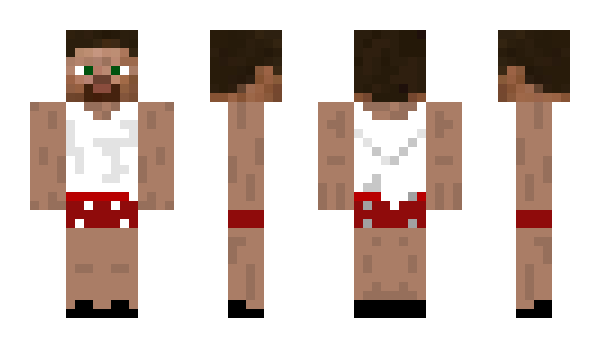 Minecraft skin maxpetermail