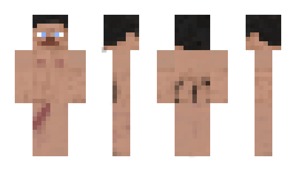 Minecraft skin Tarn1sh3d
