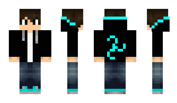 Minecraft skin HAVP