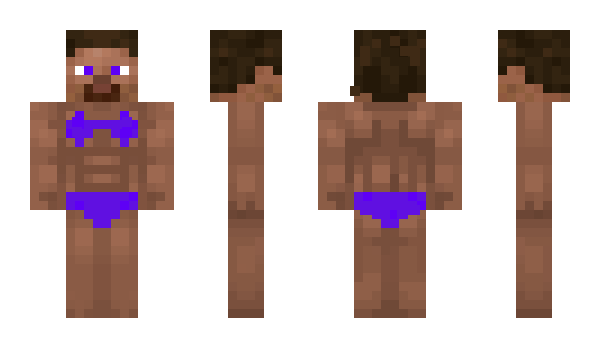 Minecraft skin janitorhugo
