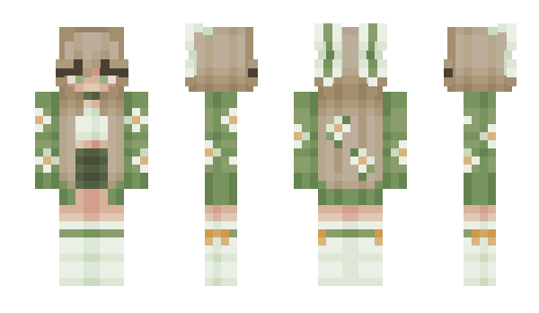 Minecraft skin Nitr0_077