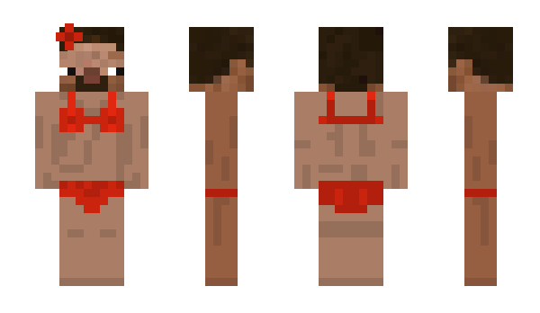 Minecraft skin emilhaave