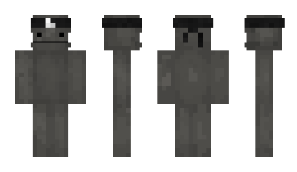 Minecraft skin Ztui