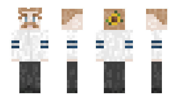 Minecraft skin ehermo