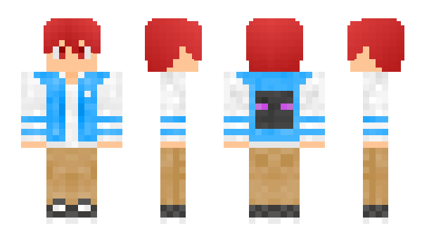 Minecraft skin V1sion