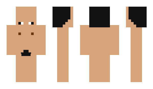 Minecraft skin NOGARA