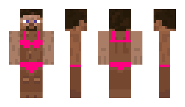 Minecraft skin Arayin