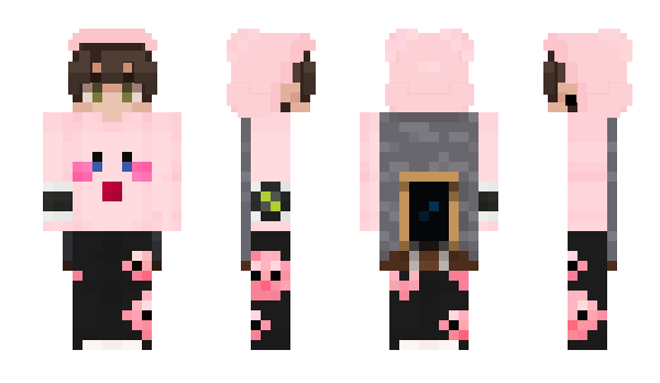Minecraft skin Chaqpies