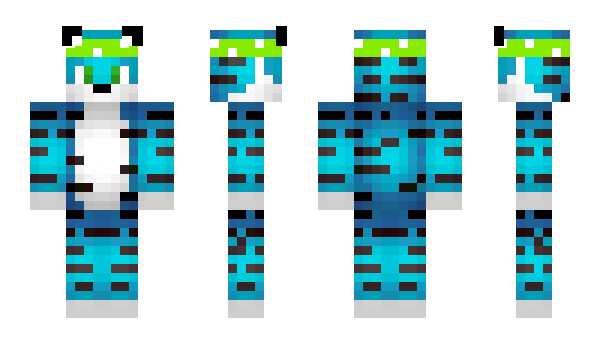 Minecraft skin Rejection