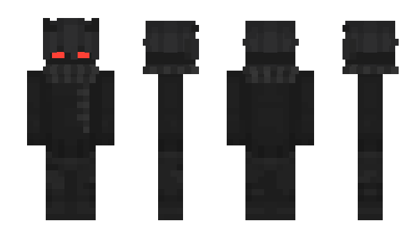 Minecraft skin CfgAckeR