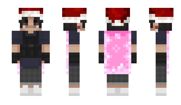 Minecraft skin extrasaltedfries