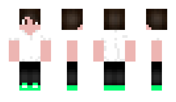 Minecraft skin Holodolo