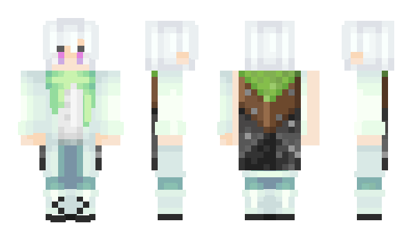 Minecraft skin DilogicalDabbles