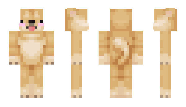 Minecraft skin MagicWizMC