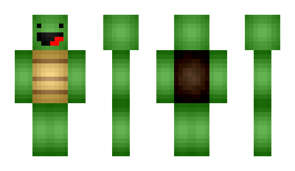 Minecraft скін по ніку wirly
