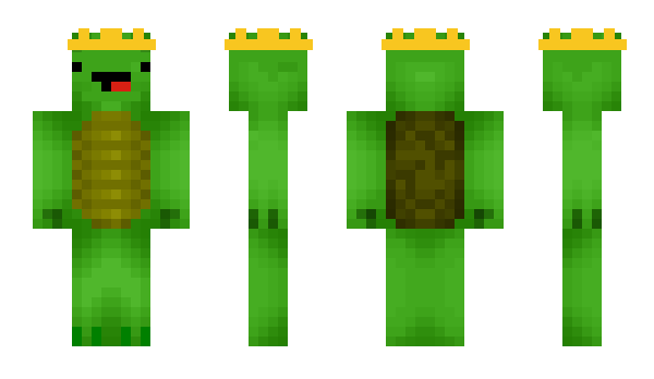 Minecraft skin FreshTurtle