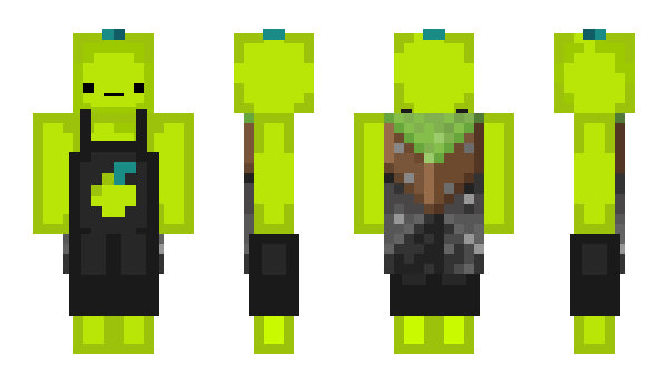 Minecraft skin TqkaJP