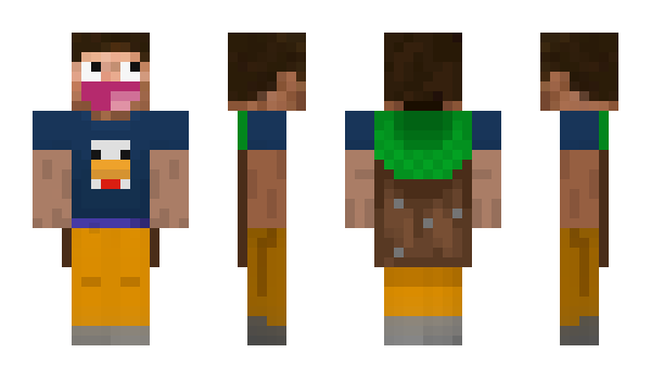 Minecraft скин по нику pujr