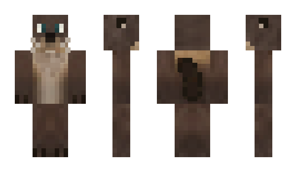 Minecraft skin facuri