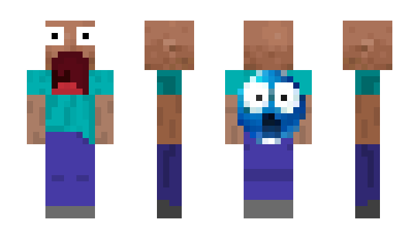 Minecraft skin hudR