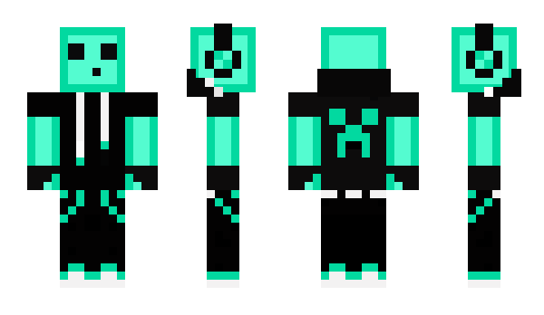 Minecraft skin minecraftscat