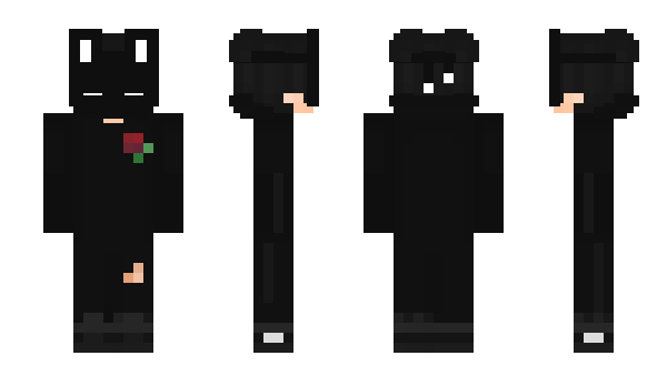 Minecraft skin Dresseres