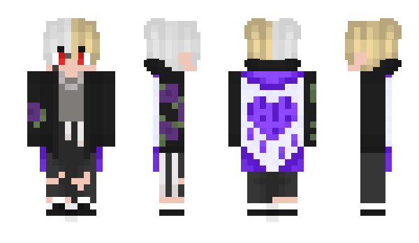 Minecraft skin goffr