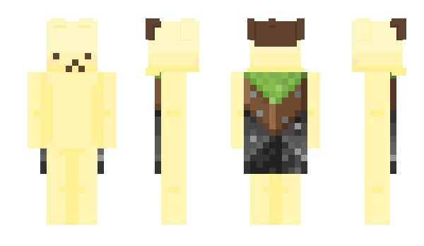 Minecraft skin CarpetShark09