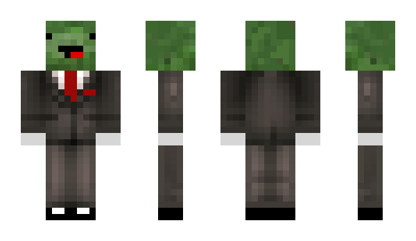 Minecraft skin Ocou