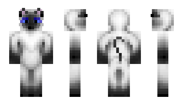 Minecraft skin randommuppet