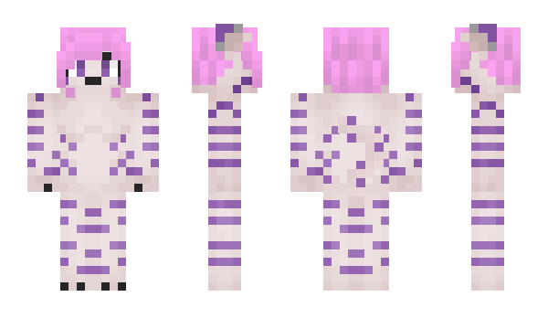 Minecraft skin CJ490