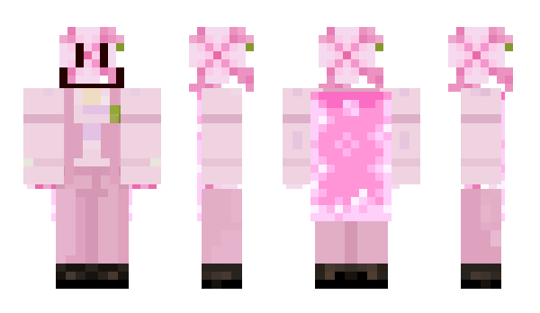 Minecraft skin Destim