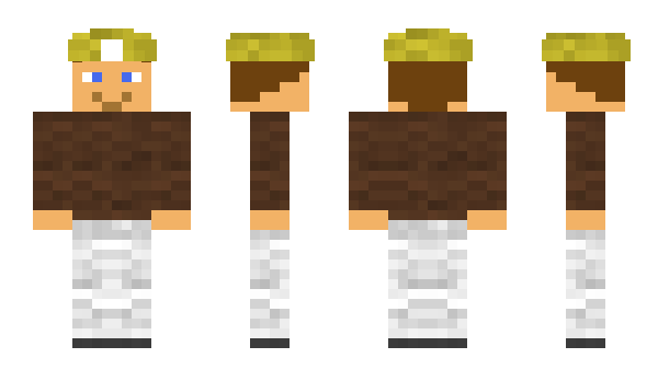 Minecraft skin Henrikworld