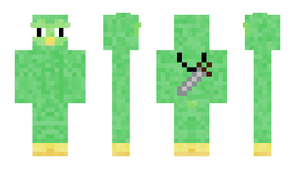 Minecraft skin dirige