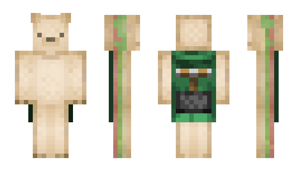 Minecraft skin HayJay