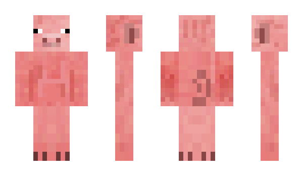 Minecraft skin BigPigg