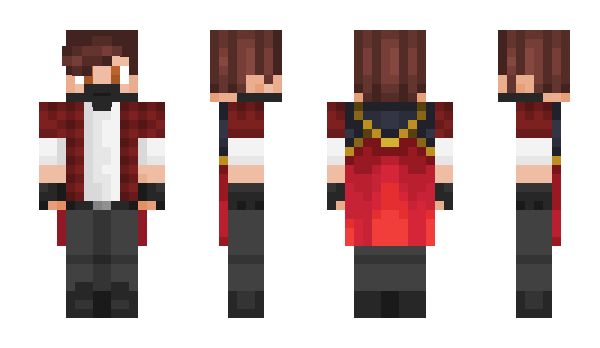 Minecraft skin NIKS13_DK