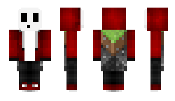 Minecraft skin Vivillyy