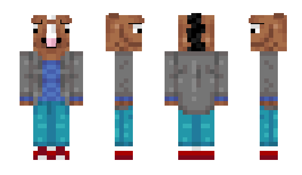 Minecraft skin Usbac