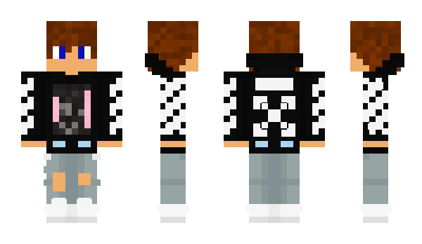 Minecraft skin PhoIs