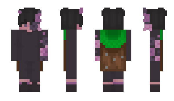 Minecraft skin NorthYT