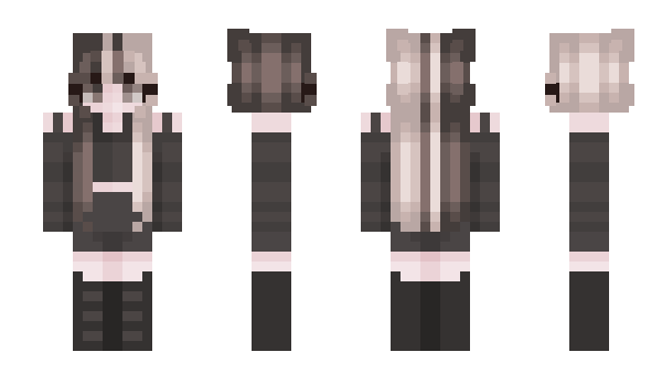 Minecraft skin Pen_Tester