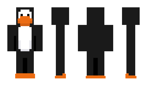 Minecraft skin DragDealer
