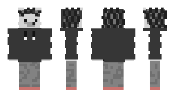 Minecraft skin NAVI_Lun